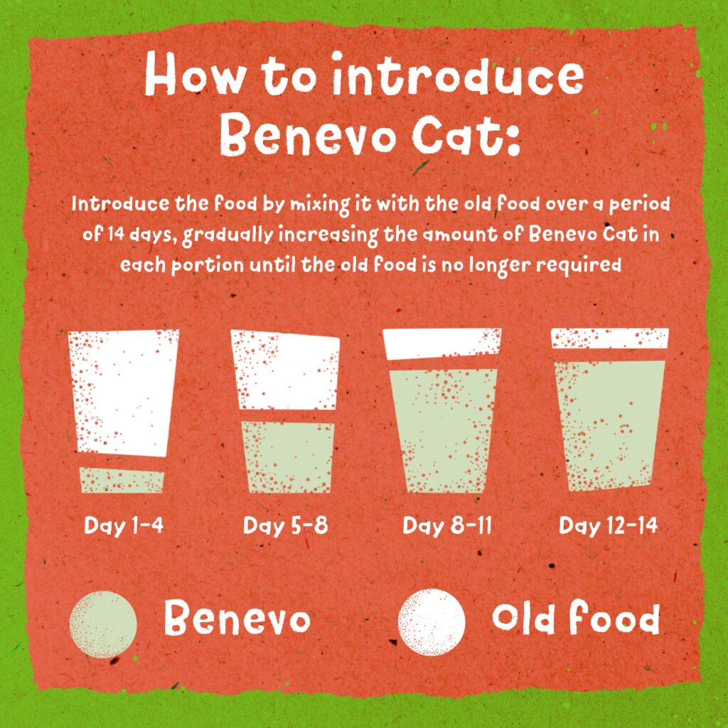 Benevo Benevo Original Vegan Cat Food 10kg | Benevo