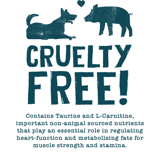 Ethical Cruelty Free Dog Food - Vegan Dog Food from Benevo