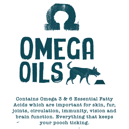 Dog Food with Omega Oils - Vegan Dog Food from Benevo
