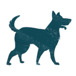 Benevo Vegan Dog Food
