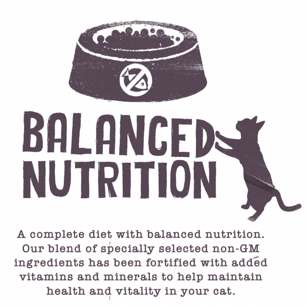 Nutritionally Complete Vegan Cat Food from Benevo
