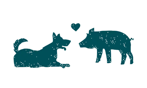 Benevo vegan pet food - cruelty-free