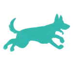 Vegan Puppy Food from Benevo