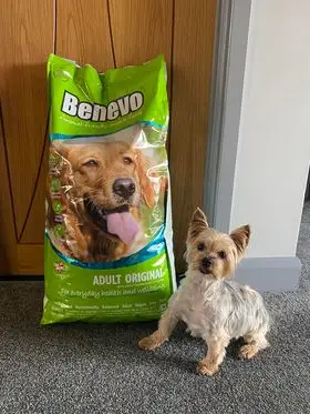 Benevo vegan dog food customer
