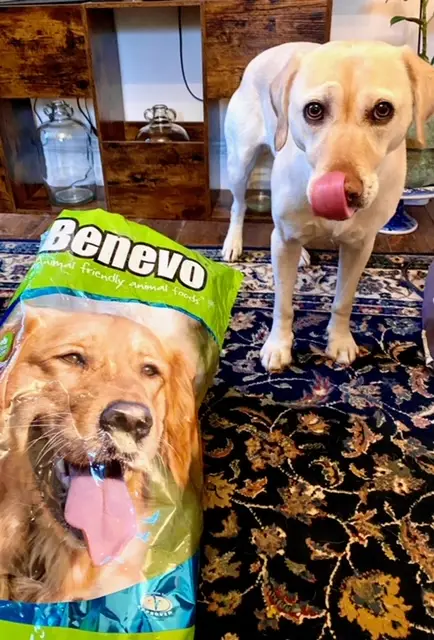 Benevo vegan dog food customer