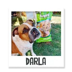 Darla