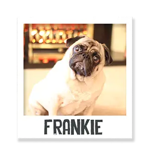 Frankie