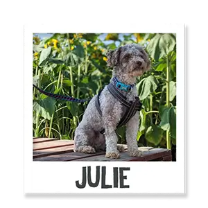 Julie