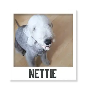 Nettie