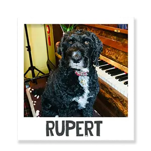 Rupert