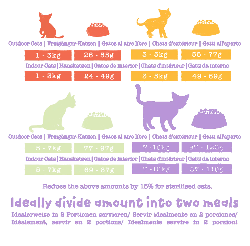 Feeding guide for Benevo vegan adult dry cat food