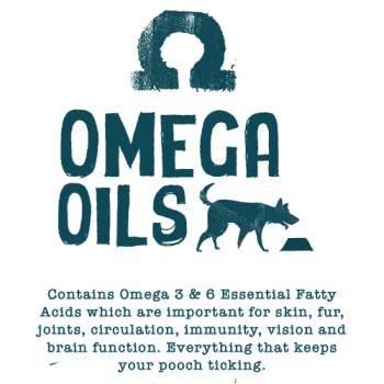 Dog Food with Omega Oils - Vegan Dog Food from Benevo